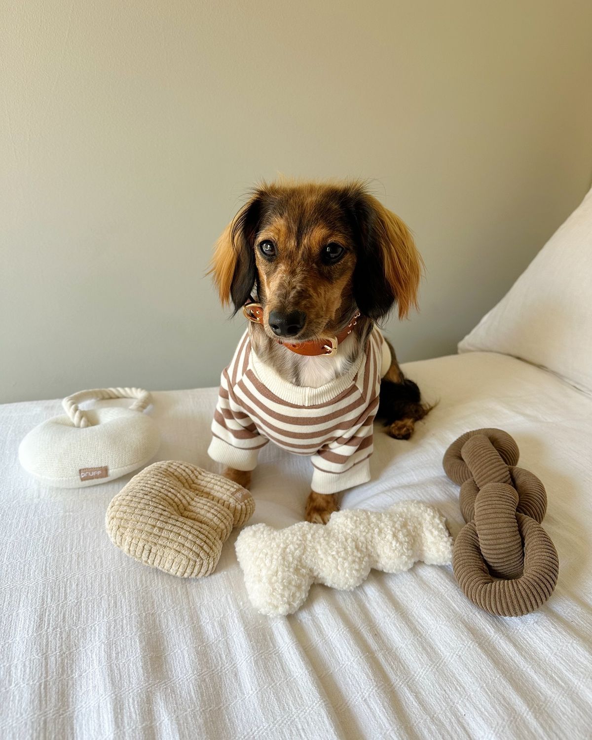 Happy pet essentials