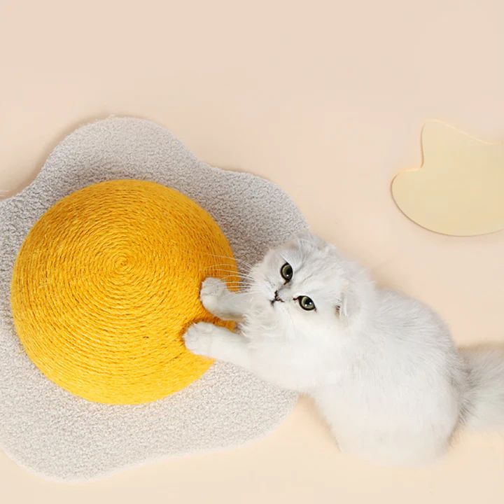 Happy pet lifestyle