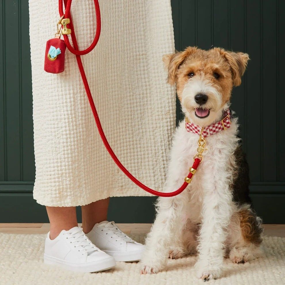 Happy pet essentials